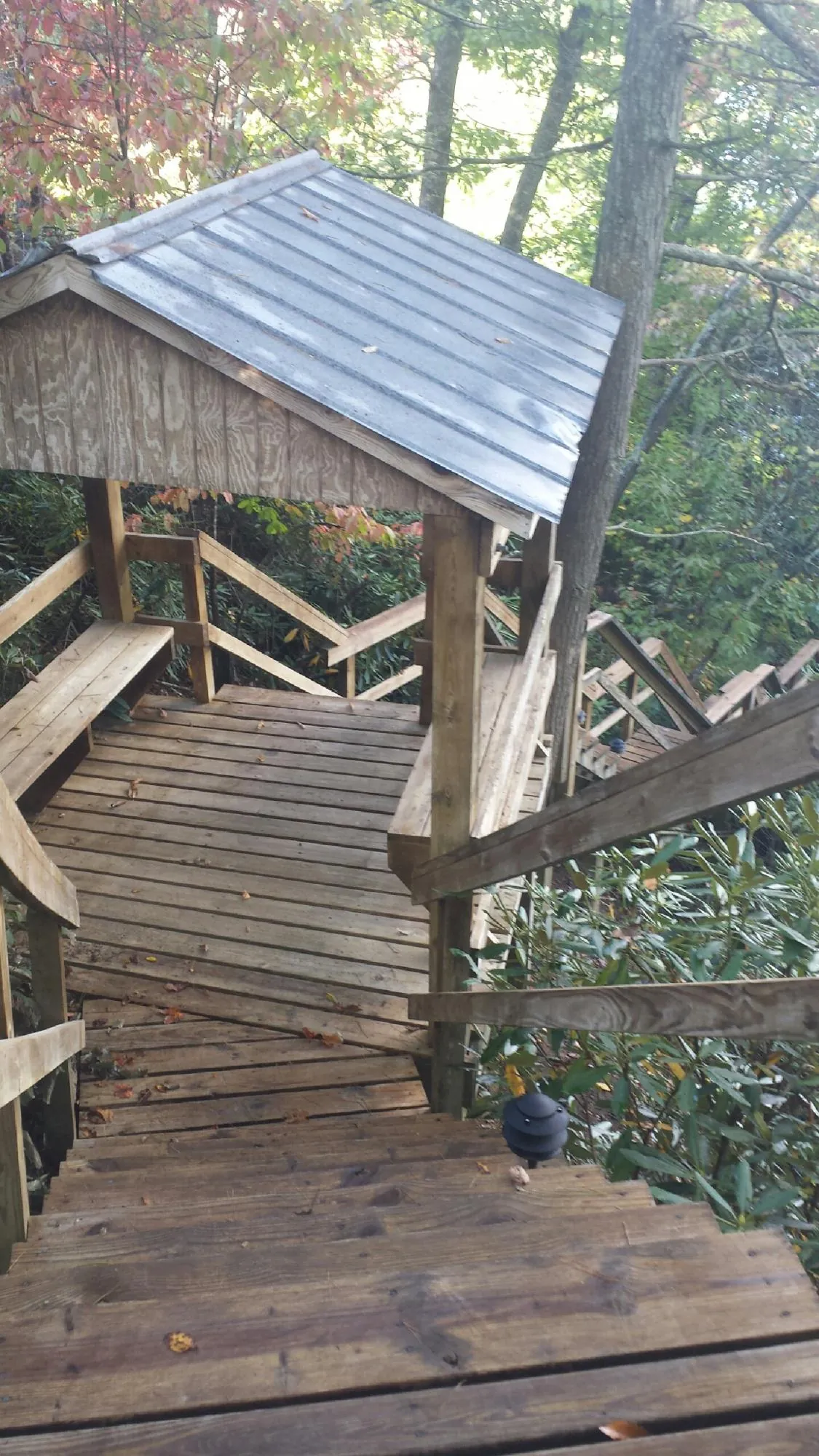 Metal roofed shelter over wooden steps on a wooded walkway — Skylight Repair & Installation work by our crew in Haralson